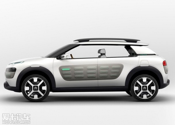 ѩ�F��Cactus����܇