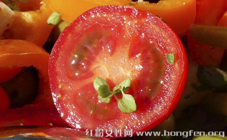 番茄搭配這8種養(yǎng)生食物吃才最營(yíng)養(yǎng)