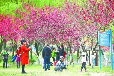 武漢過敏門診迎高峰專家呼吁清明發(fā)布“花粉指數(shù)”