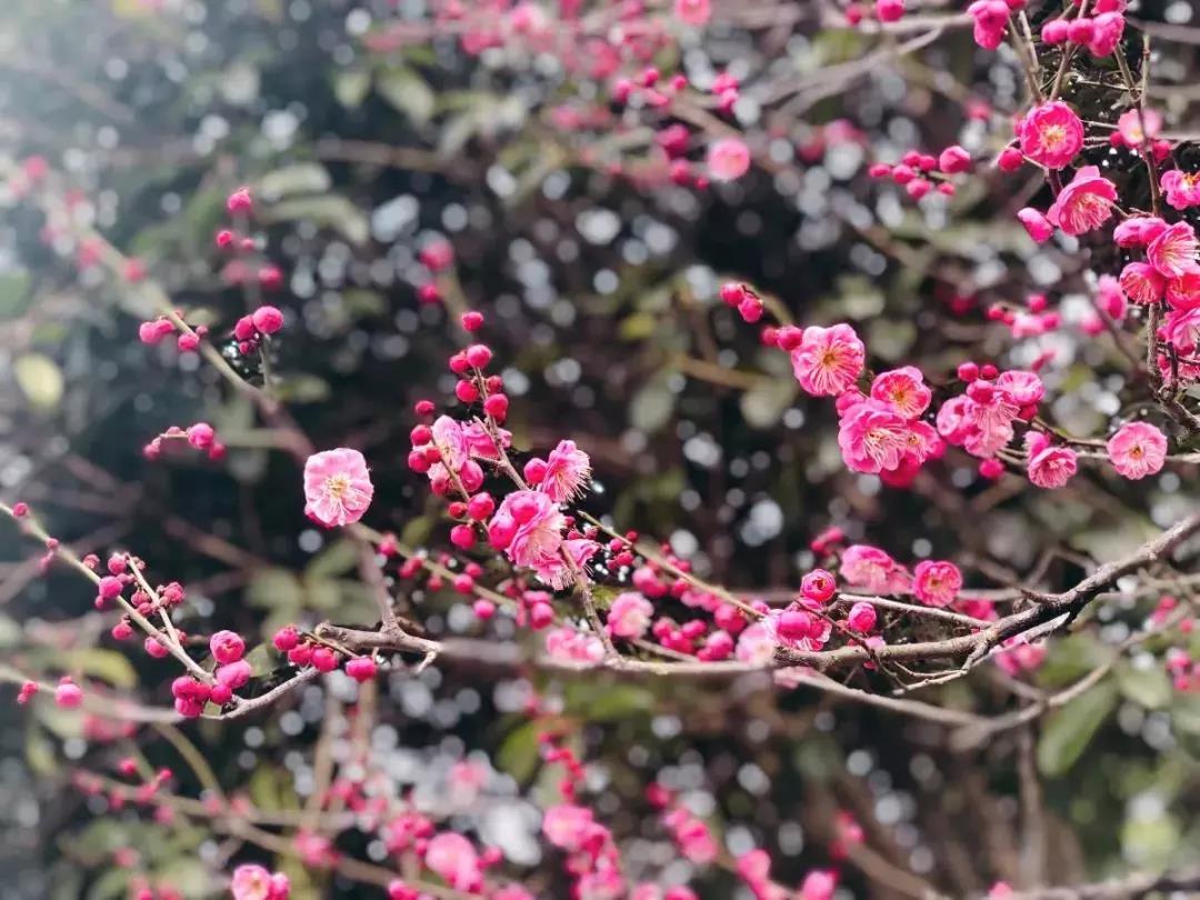 ΢�ňDƬ_20190327152111.jpg