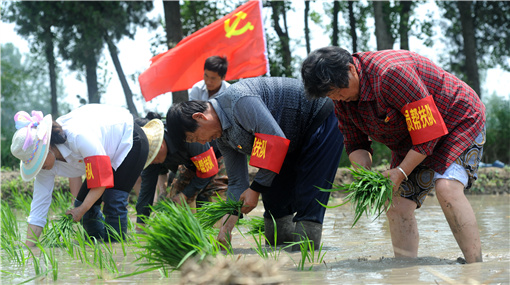 ���ջ������P�_�h���d���l(xi��ng)�伯��M���h�T�ͷ�ꠎ����������y�������Ҳ��퓌�N��_����.jpg