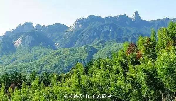 ���\�C����ӭ�����¡�������ʲô�ɫ����