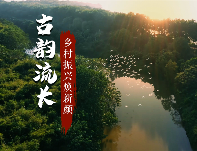 �l(xi��ng)���.png