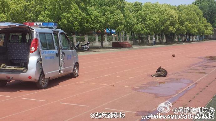 �W����h��У�����뉺���˹� �_܇��4��