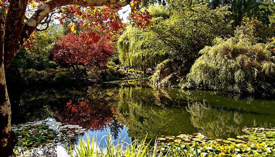 走進全球13大花園 如置身幻境(圖)