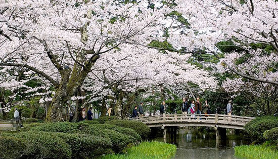 走進全球13大花園 如置身幻境(圖)