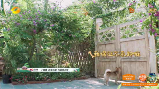 云圖片