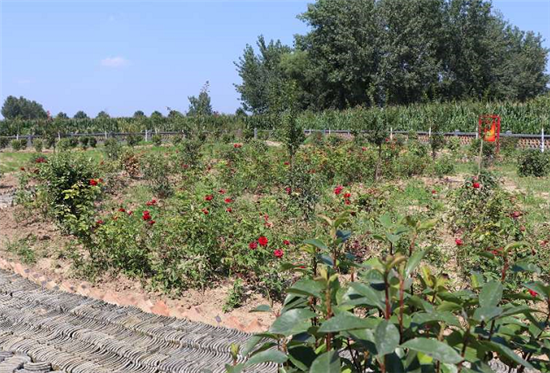 �����干���W(w��ng)�j(lu��)���}������̫���� �D(zhu��n)���(zh��n)·�ڴ壺ȥ����Ɉ@һ�^���������˴���r(sh��)����