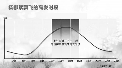又到楊絮柳絮滿天飛的季節(jié) 專家:目前還不能根治