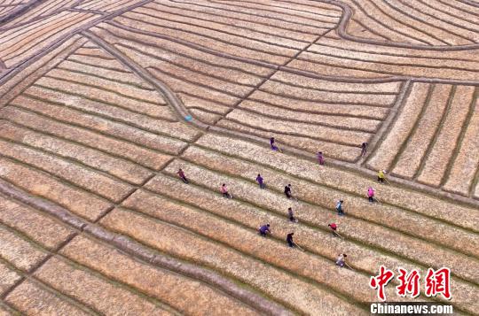 �D�麽���r(n��ng)�������g�����������տ����z