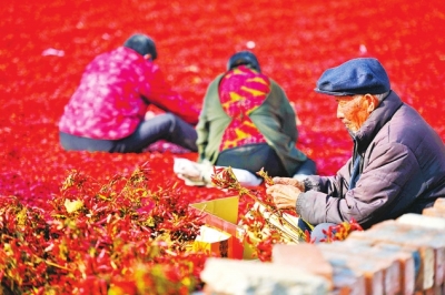 紅火人間“辣”樣美
