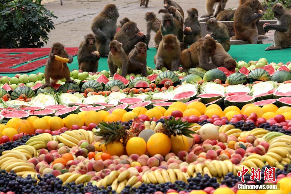 8000��ﳬ��ˮ��ƴ�P��Ո����������