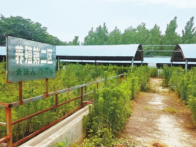 長葛市榆林村扶貧項目半途而廢 養(yǎng)殖農(nóng)戶血本無歸