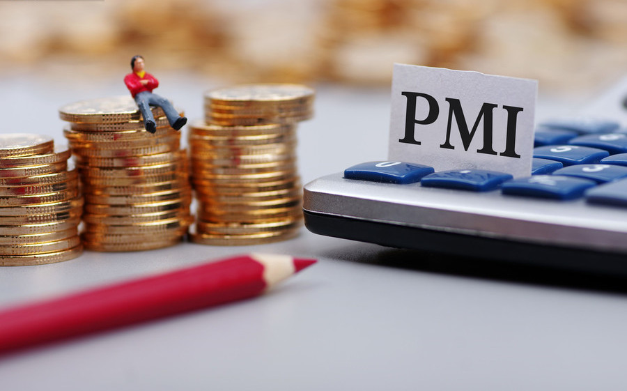 pmi.jpg