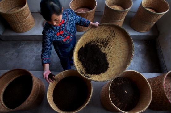 買茶節(jié)|2021浮梁茶主題攝影節(jié)征稿啟事