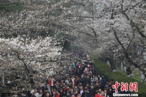 聚焦“爆滿”的暑期高校游:不是景區(qū)勝似景區(qū)