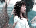δ��(bi��o)�}-1.jpg