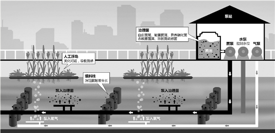 杭州治水搬來(lái)“細(xì)菌兵團(tuán)”黑臭河道變樣(圖)