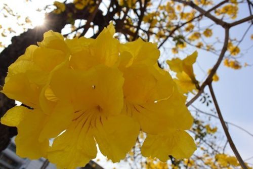�p���� �_(t��i)���S���L(f��ng)�ľʢ�_�Ҵ�����Ļ
