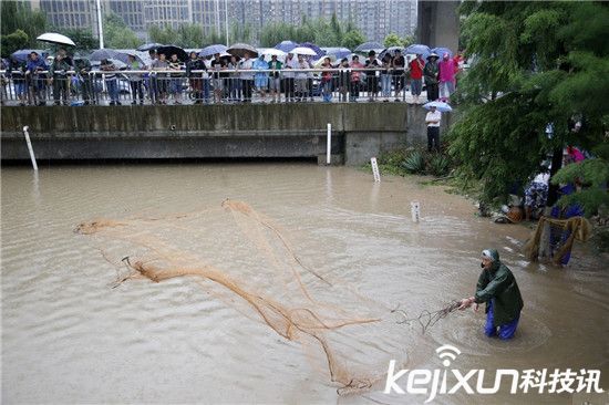 武漢暴雨沖來大魚 市民自帶漁網(wǎng)當(dāng)街捕魚