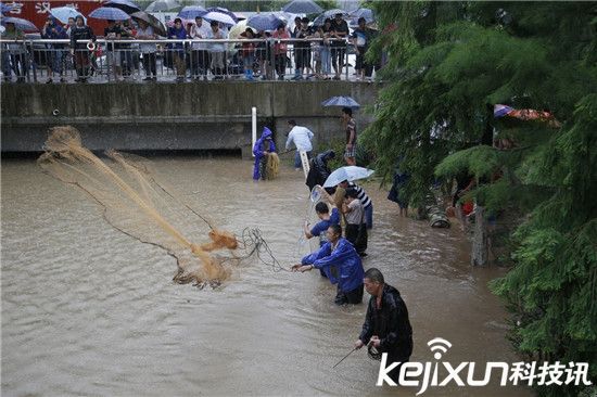 武漢暴雨沖來大魚 市民自帶漁網(wǎng)當(dāng)街捕魚