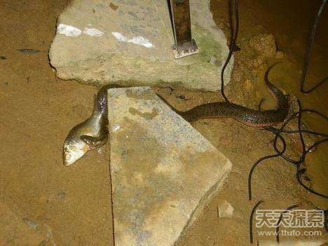 男子夜晚海邊釣魚(yú) 突發(fā)一幕讓他嚇壞了