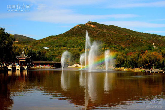 �D�鱱�m����ɭ�ֹ��@��ɫ�����н�(j��ng)�W(w��ng)�ѡ��������¡��z��