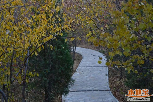 秋天到哪里看紅葉 北宮國家森林公園親子游好去處