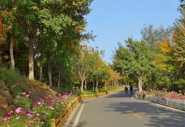 2014北宮國家森林公園踏青節(jié)攻略