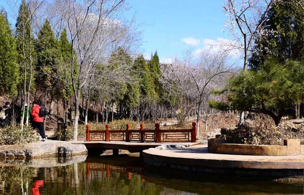 2014北宮國家森林公園踏青節(jié)攻略