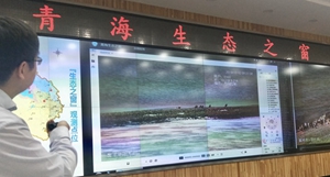88.jpg