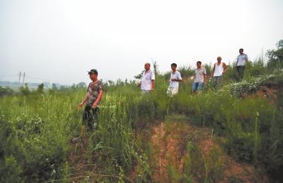 河南洛陽(yáng)一村莊發(fā)現(xiàn)6座東漢帝陵 村民自建守墓隊(duì)