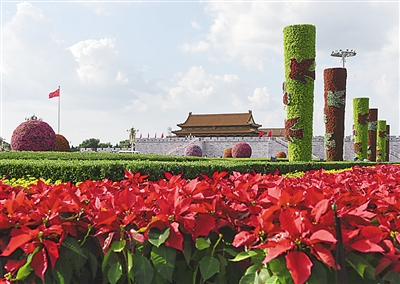 �D�鱱���찲�T�V�����õĻ�����