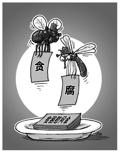媒體揭秘蚊蠅腐敗:200元慰問金村干部截留一半