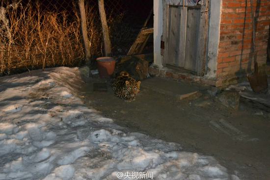 ���֬q���l(f��)�F(xi��n)����Ұ���|���� ���w����֧�ڴ嶺��