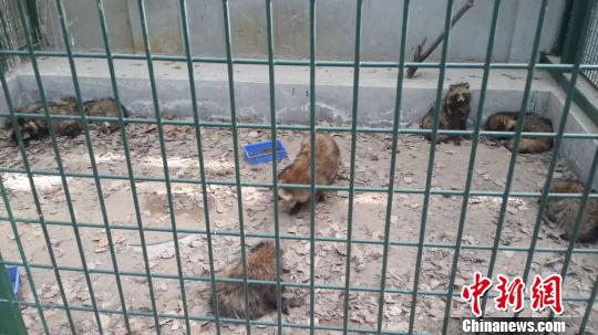 ������������{(l��n)�������¼��M�����ҵ�������380ֻ