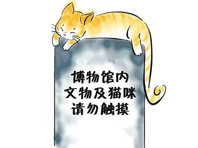 西安碑林網(wǎng)紅喵要被送走 網(wǎng)友呼吁“請(qǐng)留下”