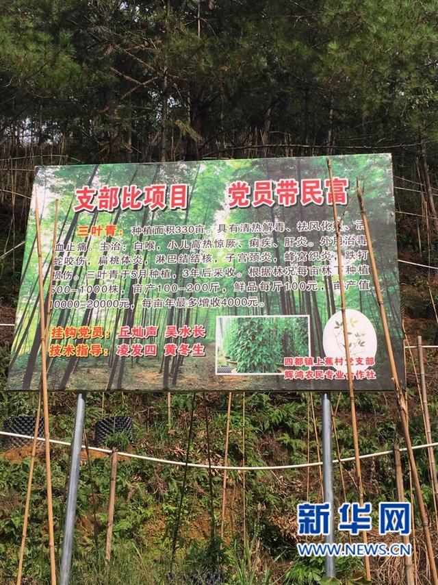基層黨組織:長征路上奔小康的堅強堡壘