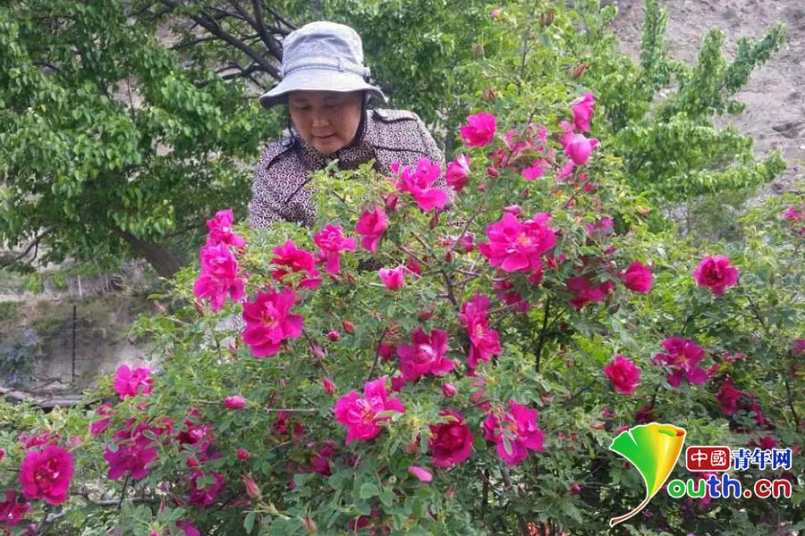 【網(wǎng)絡(luò)媒體“走轉(zhuǎn)改”】紅軍足跡印下長(zhǎng)征精神 助力老區(qū)翻越脫貧“夾金山” 【網(wǎng)絡(luò)媒體“走轉(zhuǎn)改”】紅軍足跡印下長(zhǎng)征精神 助力老區(qū)翻越脫貧“夾金山”