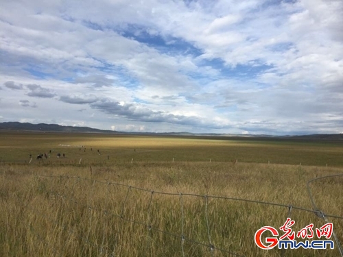 ���W(w��ng)�j(lu��)ý�w���D(zhu��n)�ġ������L(zh��ng)���D�U(xi��n)�� �_(k��i)���صء��Ҹ�����
