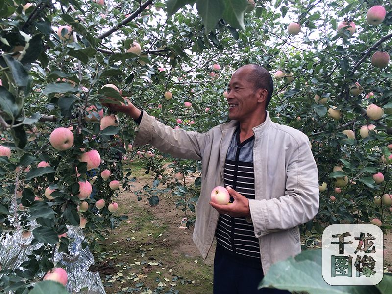 �����S�յļ���(ji��)���Ǵ��l(xi��ng)Сկ������������Լҹ��@���ժ�O(p��ng)����ǧ���W(w��ng)ӛ�� �R�ľ� �z