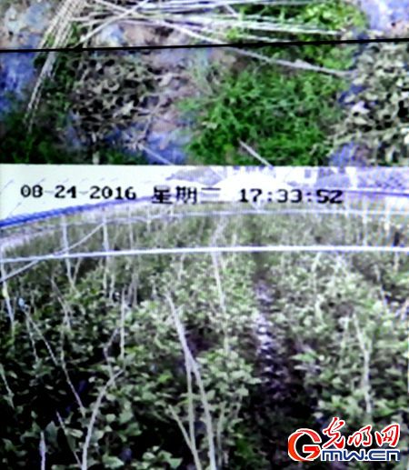 ���W(w��ng)�j(lu��)ý�w���D(zhu��n)�ġ���P(y��ng)�L������ ̽�������υ^(q��)Óؚ�¸����ؼ���