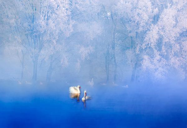 ���F��؟�� �F���P(gu��n)�ۡ����Č�ȫ���zӰ��ِ����ِ�@�����νҕ�