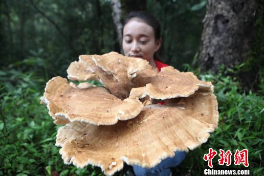 �����ն��@�F(xi��n)���ؾ���Ģ����С�����������L��1.8��