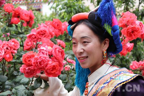 �D�鴩���{�����Ĺ���׿����ķ���zӰ������