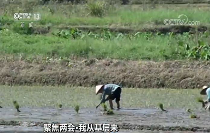 【聚焦兩會我從基層來】全國政協(xié)委員履職建言為基層