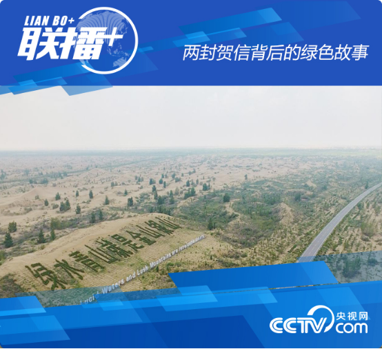 (li��n)��+ح�ɷ��R�ű���ľGɫ����