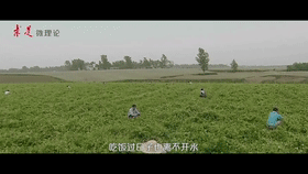 ΢ҕ�l  ��(x��)��ƽ��׌�S�ӳɞ��츣������Ҹ���
