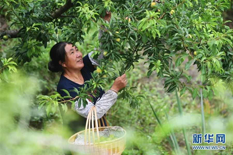(新華全媒頭條·走向我們的小康生活·圖文互動(dòng))(7)大城大鄉(xiāng)的“幸福協(xié)奏曲”——重慶推動(dòng)高質(zhì)量發(fā)展創(chuàng)造高品質(zhì)生活紀(jì)事