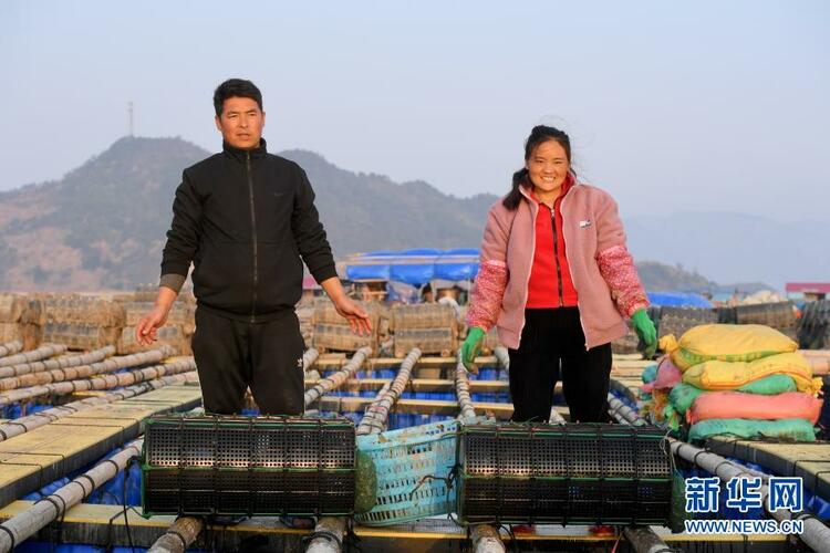 “春運(yùn)母親”何以感動(dòng)億萬國(guó)人
